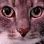 Avatar for 00022dd41c76484e94fb31d9f6ada997