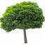 Avatar for 0002966faff74032b1658daa0d2558a1